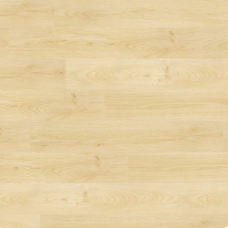 301 002 Sand Dunes Water’s Edge 301 By Next Floor