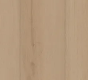 Champagne 02126 By Shaw Floors