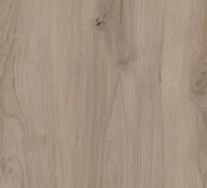 Warm Sand 05254 By Shaw Floors