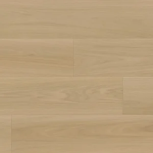 Serenova Beaux Arts Collection By Fuzion