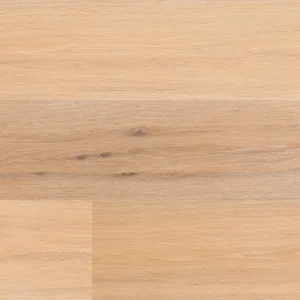 Fuzion Symphony from the Classical Elegance Collection