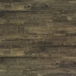 TF6011-F Alexander By Toucan