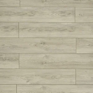 TF6207-F Frozen By Toucan