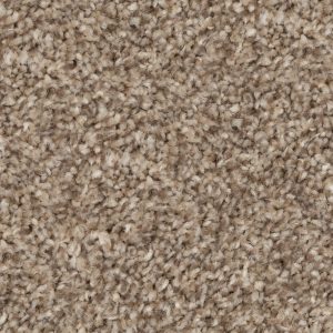 Beaulieu Cosy Ambiance #J4753 from the Tryesse Collection