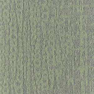 Mezzo Gradient #T18G