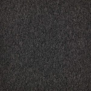 First Forward-Stk #T24S