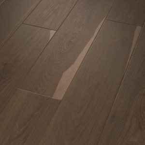 Charred Earth 07232 By Shaw Floors