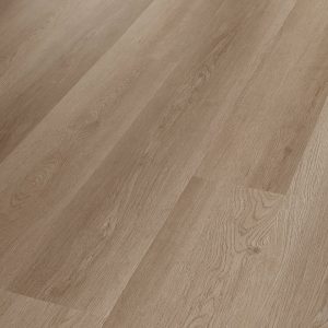 Grand Canyon 02027 By Shaw Floors