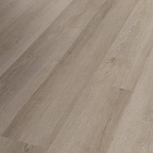 Pampas 02029 By Shaw Floors