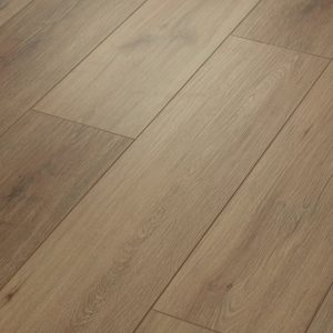 Wild Dunes 07089 By Shaw Floors