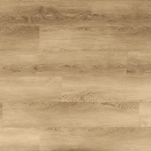 Sand Dollar Foundation Endure By Twelve Oaks