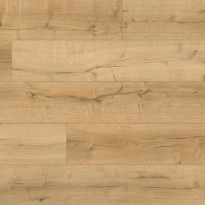 Star Coral SolidCore Ultra5G By Twelve Oaks