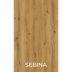 Sebina