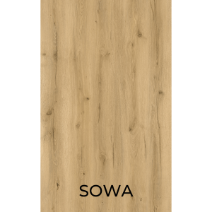 Sowa