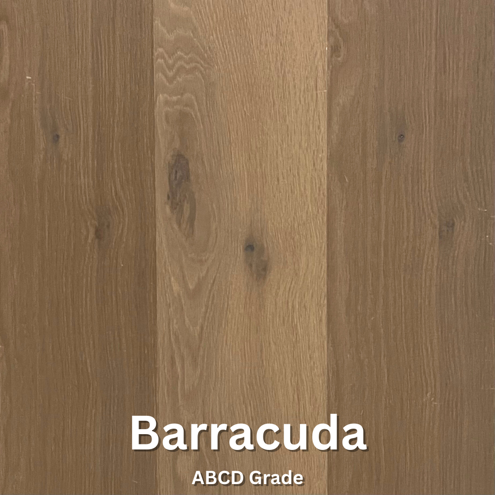 BarracudaABCD-01727986240png – Flooring Office