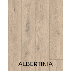 Albertinia