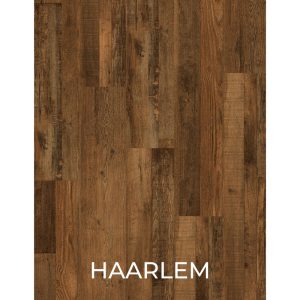 Haarlem