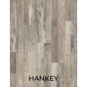 Hankey
