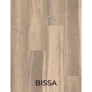 Bissa